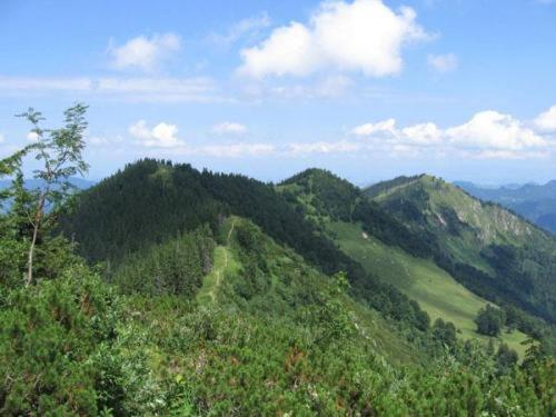 Landgasthof Kirchenwirt Grossraming Екстериор снимка