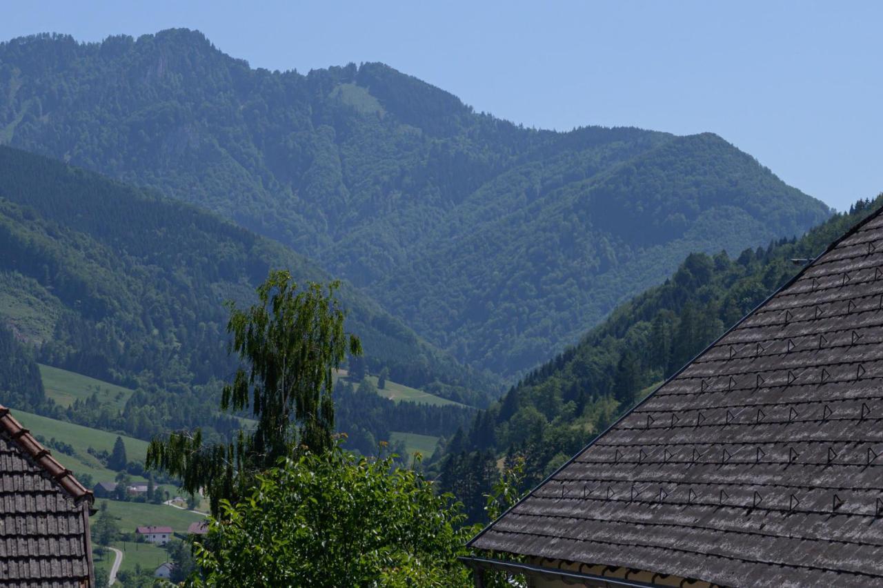 Landgasthof Kirchenwirt Grossraming Екстериор снимка